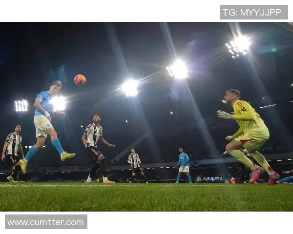 霍伊伦的传奇人生与科学探索之路：从天才少年到杰出科学家的蜕变故事